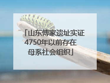 山东傅家遗址实证4750年以前存在母系社会组织