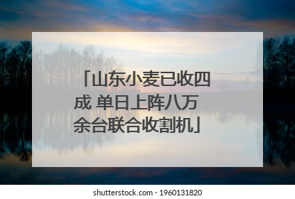 山东小麦已收四成 单日上阵八万余台联合收割机