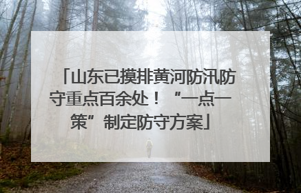 山东已摸排黄河防汛防守重点百余处！“一点一策”制定防守方案