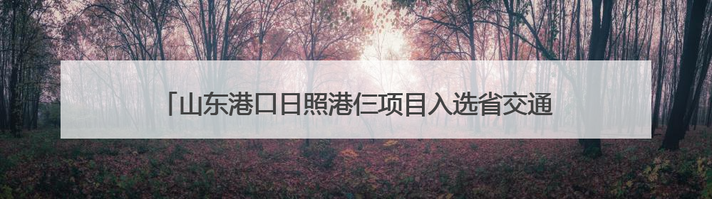 山东港口日照港仨项目入选省交通运输绿色低碳高质量发展典型案例