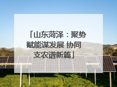 山东菏泽：聚势赋能谋发展 协同支农谱新篇