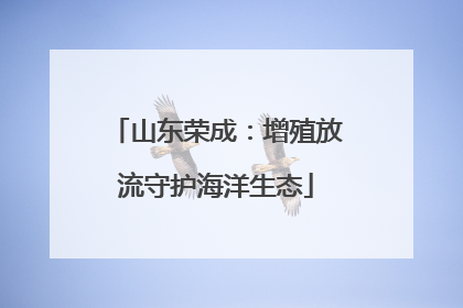 山东荣成：增殖放流守护海洋生态
