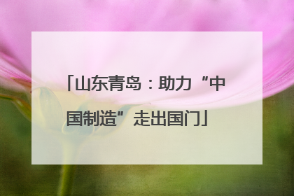 山东青岛：助力“中国制造”走出国门
