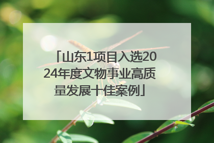 山东1项目入选2024年度文物事业高质量发展十佳案例