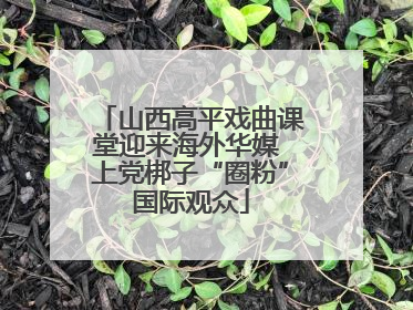 山西高平戏曲课堂迎来海外华媒 上党梆子“圈粉”国际观众