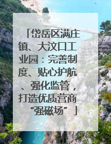 岱岳区满庄镇、大汶口工业园：完善制度、贴心护航、强化监管，打造优质营商“强磁场”