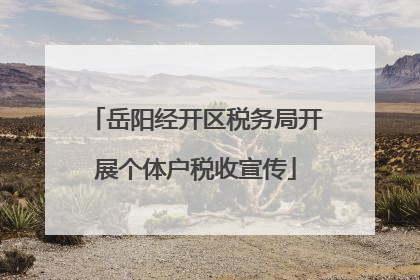 岳阳经开区税务局开展个体户税收宣传