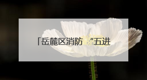 岳麓区消防 “五进” 筑牢安全防线