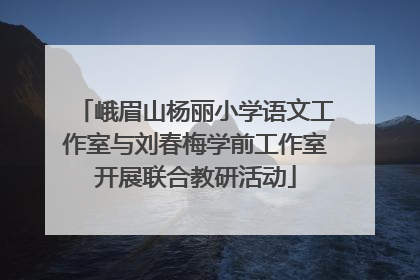 峨眉山杨丽小学语文工作室与刘春梅学前工作室开展联合教研活动