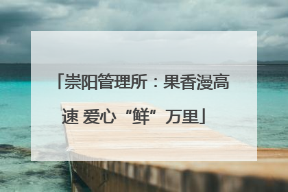 崇阳管理所：果香漫高速 爱心“鲜”万里