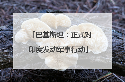 巴基斯坦：正式对印度发动军事行动