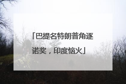 巴提名特朗普角逐诺奖，印度恼火