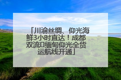 川渝丝绸、仰光海鲜3小时直达！成都双流⇌缅甸仰光全货运航线开通