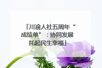 川渝人社五周年“成绩单”：协同发展托起民生幸福