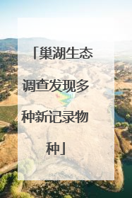 巢湖生态调查发现多种新记录物种
