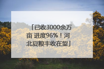 已收3000余万亩 进度96%！河北夏粮丰收在望