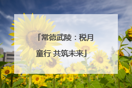 常德武陵：税月童行 共筑未来