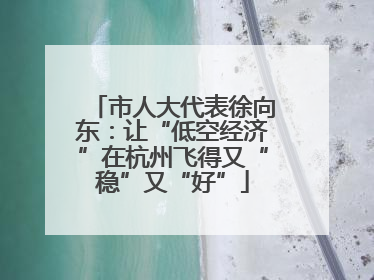 市人大代表徐向东：让“低空经济”在杭州飞得又“稳”又“好”