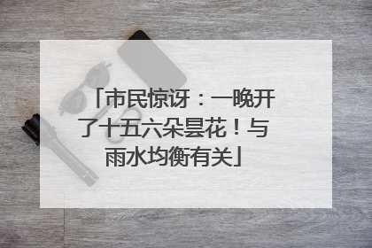 市民惊讶：一晚开了十五六朵昙花！与雨水均衡有关