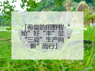 希望的田野智“绘”好“丰”景 “三夏”生产向“新”而行