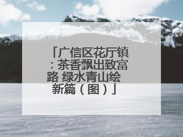 广信区花厅镇：茶香飘出致富路 绿水青山绘新篇（图）