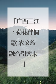 广西三江：荷花伴侗歌 农文旅融合引客来