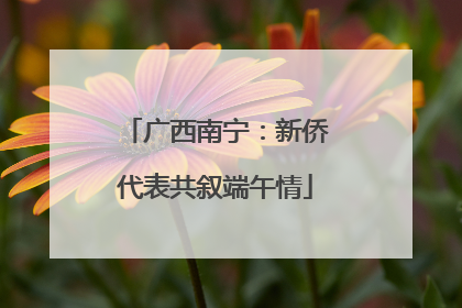 广西南宁：新侨代表共叙端午情