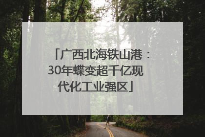 广西北海铁山港：30年蝶变超千亿现代化工业强区
