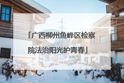 广西柳州鱼峰区检察院法治阳光护青春
