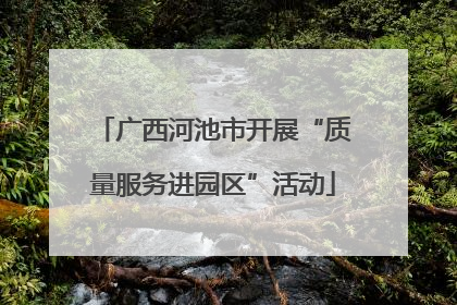 广西河池市开展“质量服务进园区”活动