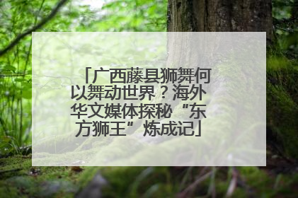 广西藤县狮舞何以舞动世界？海外华文媒体探秘“东方狮王”炼成记