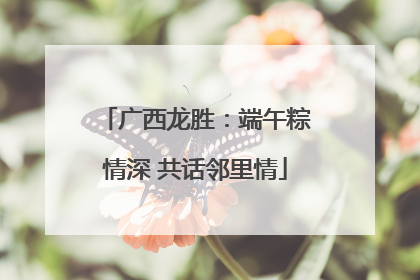 广西龙胜：端午粽情深 共话邻里情