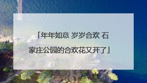 年年如意 岁岁合欢 石家庄公园的合欢花又开了