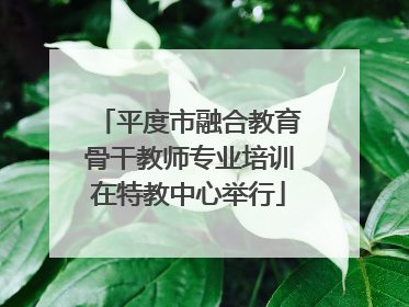平度市融合教育骨干教师专业培训在特教中心举行