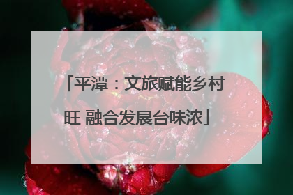 平潭：文旅赋能乡村旺 融合发展台味浓