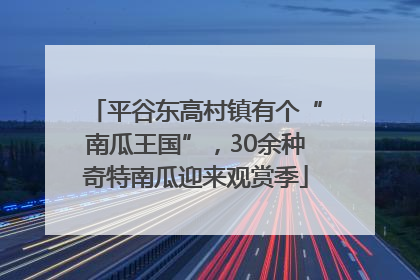 平谷东高村镇有个“南瓜王国”，30余种奇特南瓜迎来观赏季