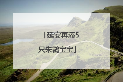 延安再添5只朱鹮宝宝