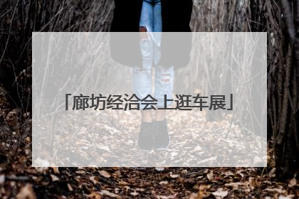 廊坊经洽会上逛车展