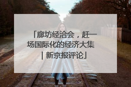 廊坊经洽会，赶一场国际化的经济大集｜新京报评论