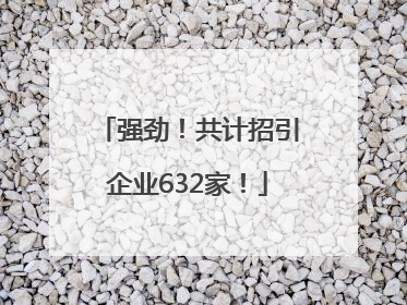 强劲！共计招引企业632家！
