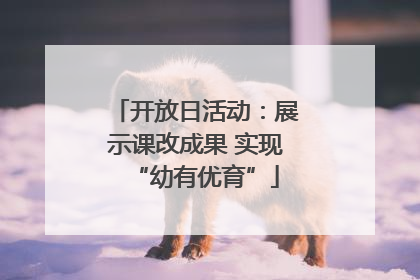 开放日活动：展示课改成果 实现“幼有优育”