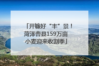 开镰好“丰”景！菏泽曹县159万亩小麦迎来收割季