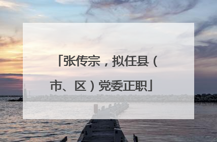 张传宗，拟任县（市、区）党委正职