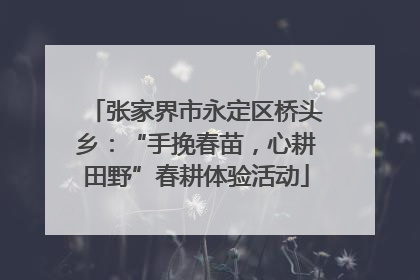 张家界市永定区桥头乡：“手挽春苗，心耕田野”春耕体验活动