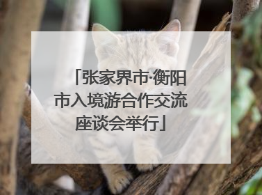 张家界市·衡阳市入境游合作交流座谈会举行