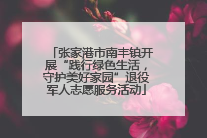 张家港市南丰镇开展“践行绿色生活，守护美好家园”退役军人志愿服务活动