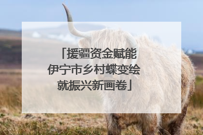 援疆资金赋能 伊宁市乡村蝶变绘就振兴新画卷