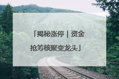 揭秘涨停｜资金抢筹核聚变龙头