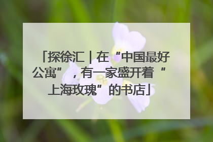 探徐汇｜在“中国最好公寓”，有一家盛开着“上海玫瑰”的书店