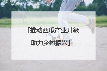 推动西瓜产业升级 助力乡村振兴